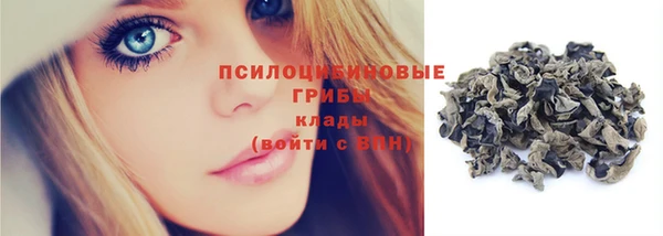 ECSTASY Алзамай
