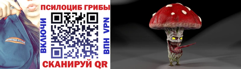 Псилоцибиновые грибы Psilocybe  купить   mega вход  Трубчевск 